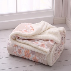 冬季珊瑚绒毛毯加厚双层法兰绒小毯子单双人羊羔绒空调盖毯