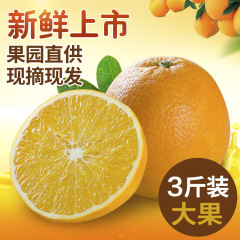 【巴谷鲜】现摘新鲜脐橙3斤大果装 奉节脐橙 香甜多汁 送礼佳品