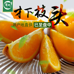 【鲜甜多】赣南脐橙 甜橙子新鲜水果脐橙 精品10斤装