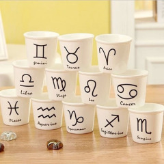 柏康日式小茶杯创意杯子12星座套杯马克杯情侣咖啡杯陶瓷水杯礼品