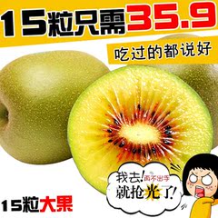 预售2月5日左右发货熙果四川蒲江红心猕猴桃15粒优选大果 奇异果