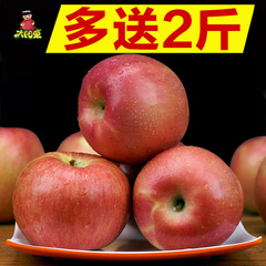 太阳果 灵宝高山原生态红富士苹果送2斤发10斤新鲜水果批发丑苹果