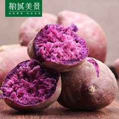 【粮城美景】广西紫薯 新鲜蔬菜地瓜番薯5斤 农家自种小紫薯 包邮